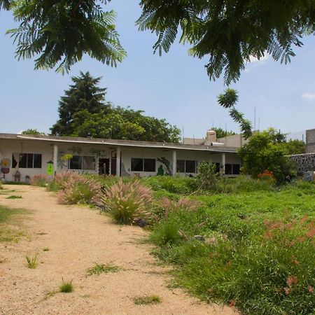 Casa De Huespedes Colmena Hotel Tlayacapan Bagian luar foto